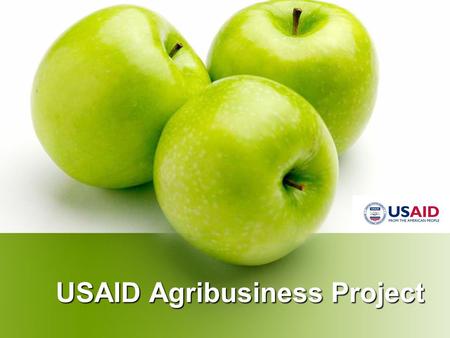 USAID Agribusiness Project. 5 year project from Sept 28, 2007 – Sept 27, 2012 Implementing Partners: DAI, BAH, IRD, Michigan State University Total Value.