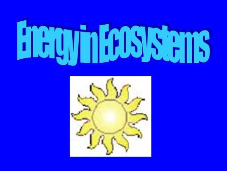 Energy in Ecosystems.