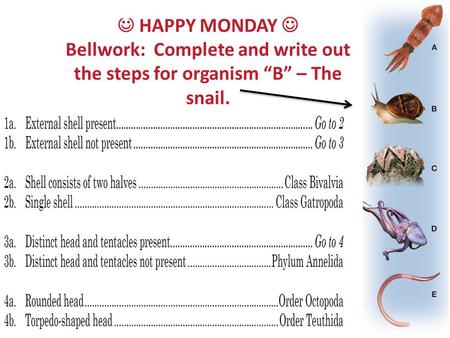 EXPLORE: Introduce your students to the dichotomous key