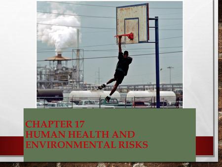 Chapter 17 Human Health and Environmental Risks