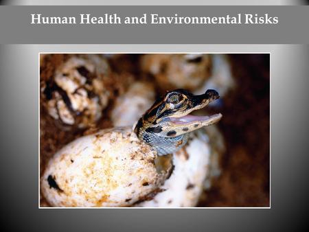 Human Health and Environmental Risks