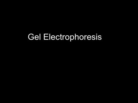 Gel Electrophoresis. The questions Why? To separate pieces of DNA by size. How? Use electrical charge to pull the negatively charged DNA through a gel.