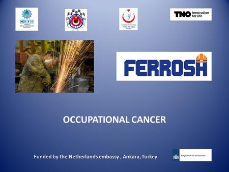 OCCUPATIONAL CANCER Funded by the Netherlands embassy, Ankara, Turkey.