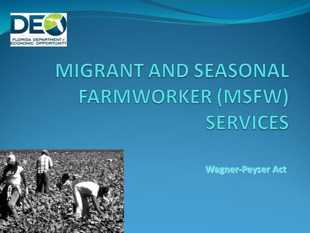 Wagner-Peyser Act. OVERVIEW The United States Department of Labor, Employment and Training Administration (ETA) established equity and minimum service.