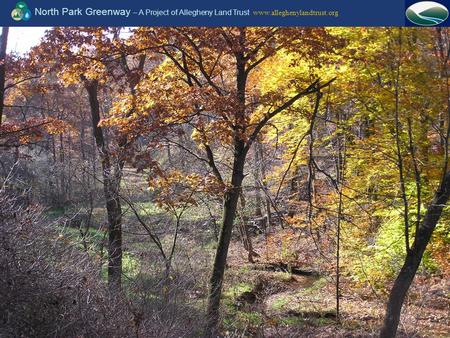 North Park Greenway – A Project of Allegheny Land Trust www.alleghenylandtrust.org.