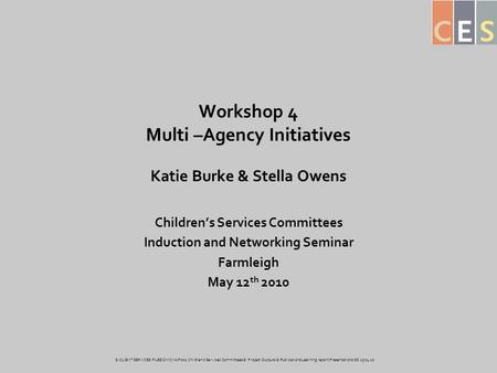 Workshop 4 Multi –Agency Initiatives Katie Burke & Stella Owens Children’s Services Committees Induction and Networking Seminar Farmleigh May 12 th 2010.