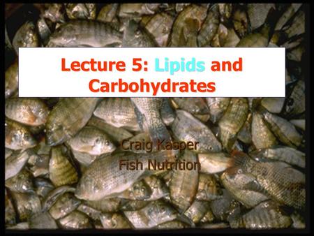 Lecture 5: Lipids and Carbohydrates Craig Kasper Fish Nutrition.