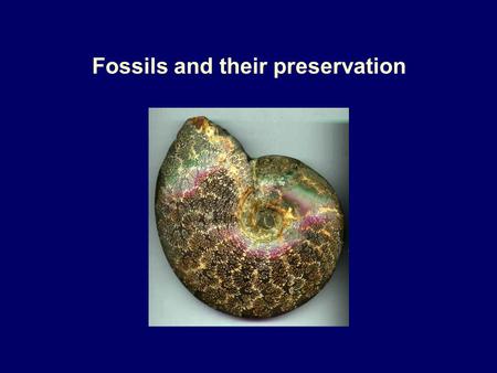 Fossils and their preservation