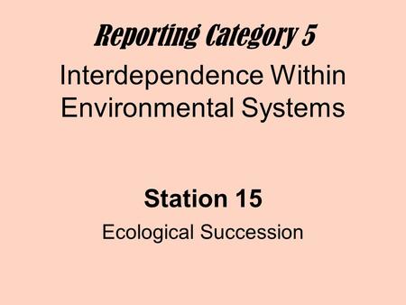 Ecological Succession