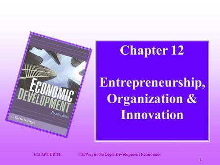 CHAPTER 12©E.Wayne Nafziger Development Economics 1 Chapter 12 Entrepreneurship, Organization & Innovation.