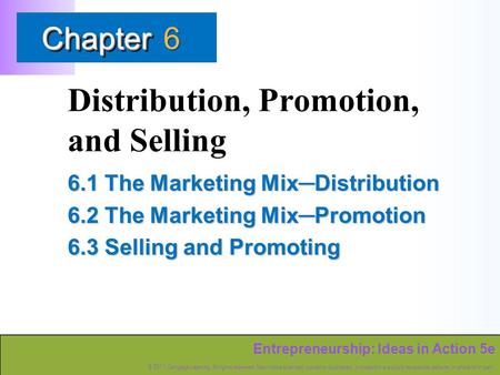 Entrepreneurship: Ideas in Action 5e © 2011 Cengage Learning. All rights reserved. May not be scanned, copied or duplicated, or posted to a publicly accessible.