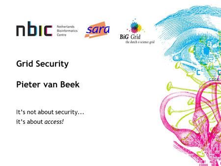 It’s not about security... it’s about access! Grid Security Pieter van Beek.