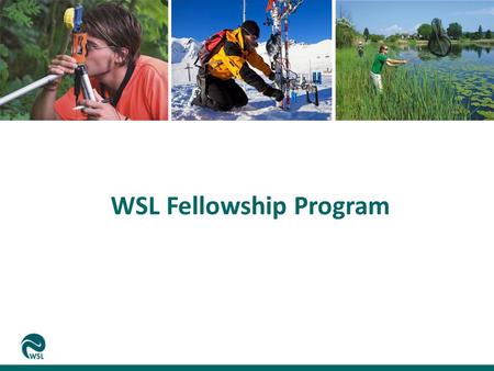 WSL Fellowship Program. Relevance of Science for WSL Opportunities for Science at WSL The WSL Fellowship Program Discussion Eidg. Forschungsanstalt für.