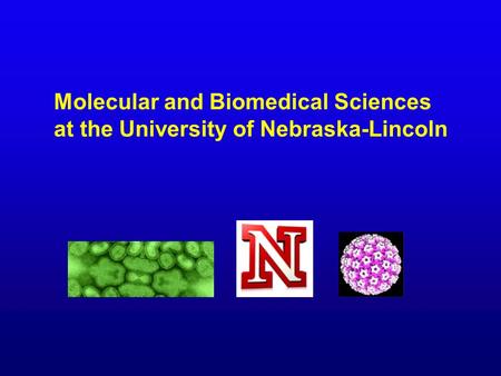 Molecular and Biomedical Sciences at the University of Nebraska-Lincoln.