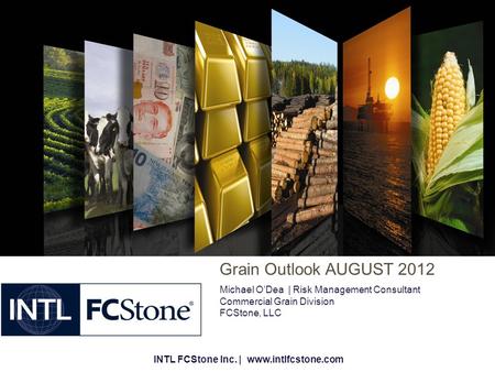 Grain Outlook AUGUST 2012 Michael O’Dea  | Risk Management Consultant