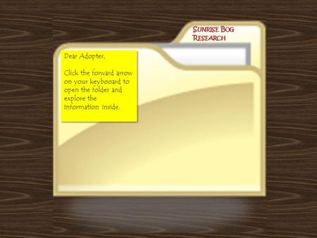 Dear Adopter, Click the forward arrow on your keybooard to open the folder and explore the information inside. Dear Adopter, Click the forward arrow on.