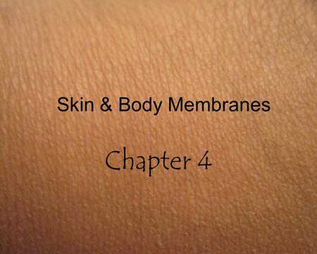 Skin & Body Membranes Chapter 4. Classification of Body Membranes Two major categories (classified by tissue makeup): –Epithelial Tissue – covering and.