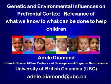 Genetic and Environmental Influences on Prefrontal Cortex: Relevance of what we know to what can be done to help children Adele Diamond Canada Research.