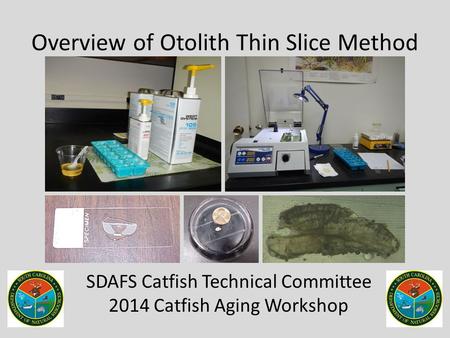 Overview of Otolith Thin Slice Method