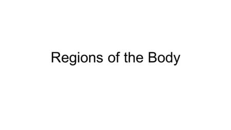 Regions of the Body. Directions of Your Partner Everyone face your partner Identify your partner’s right hand Identify the top most part of the body Identify.