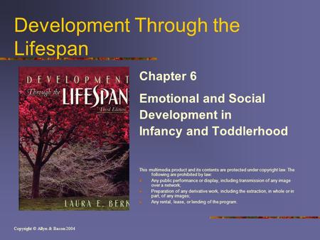 Copyright © Allyn & Bacon 2004 Development Through the Lifespan Chapter 6 Emotional and Social Development in Infancy and Toddlerhood This multimedia product.