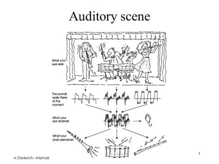 A.Diederich– International University Bremen – USC – MMM – Spring 2005 1 Auditory scene.