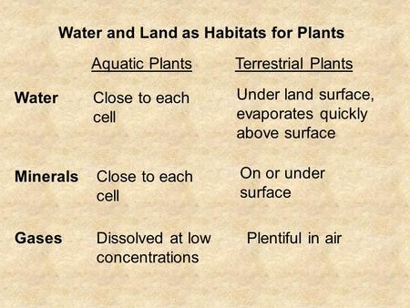 Water and Land as Habitats for Plants Aquatic PlantsTerrestrial Plants WaterClose to each cell Under land surface, evaporates quickly above surface MineralsClose.