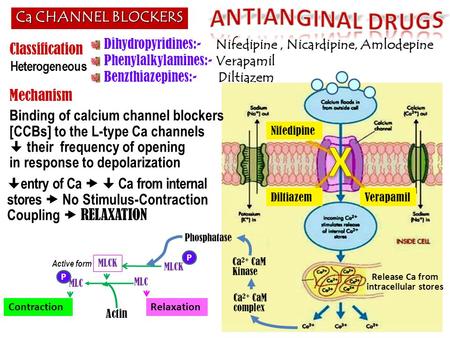 Release Ca from intracellular stores