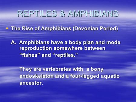 REPTILES & AMPHIBIANS The Rise of Amphibians (Devonian Period)