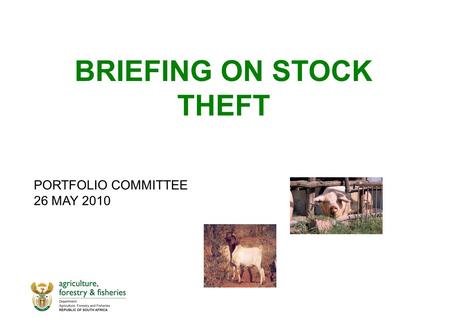 BRIEFING ON STOCK THEFT PORTFOLIO COMMITTEE 26 MAY 2010.