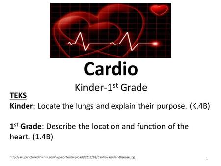 Cardio Kinder-1 st Grade 1 TEKS Kinder: Locate the lungs and explain their purpose. (K.4B) 1 st Grade: Describe the location and function of the heart.