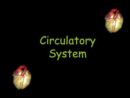 Circulatory System.