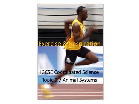 Exercise & Respiration