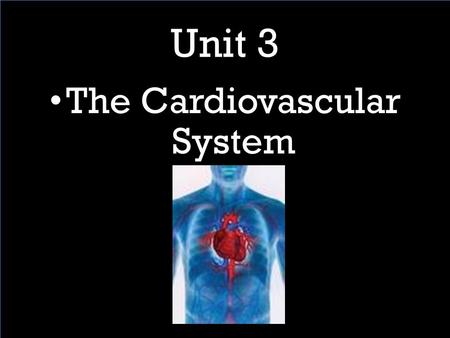 The Cardiovascular System