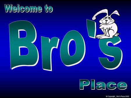 © Copyright _ Bro’s Place 2003 It costs $10 billion annually to operate the IRS and pay its 100,000 employees. The tax code comprises well over 55,000.