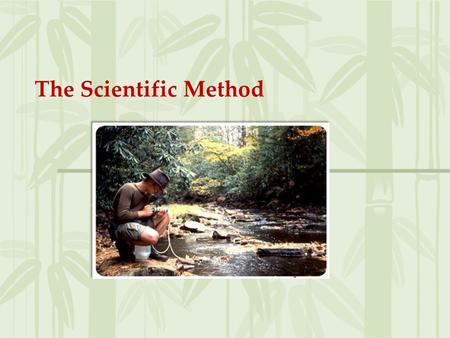 The Scientific Method.