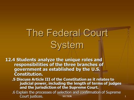 The Federal Court System