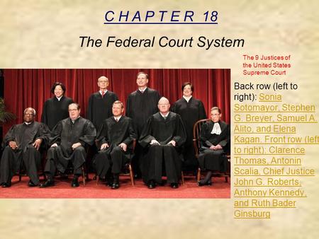 C H A P T E R 18 The Federal Court System