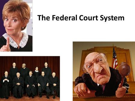 The Federal Court System