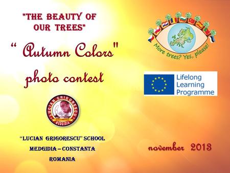 “ LUCIAN GRIGORESCU ” SCHOOL MEDGIDIA – CONSTANTA ROMANIA THE BEAUTY OF OUR TREES november 2013.