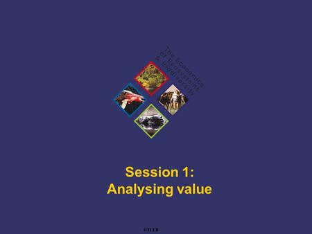 TEEB Training Session 1: Analysing value ©TEEB. TEEB Training  Missing and imperfect markets –The quality and the extent of natural spaces affects our.