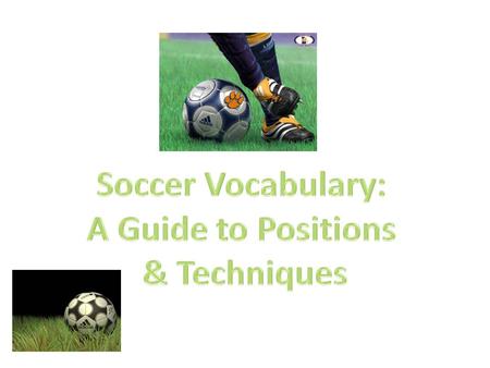 Positions Goalkeeper: Keeps the ball out of the goal and organizes team defense. Uses hands and arms within the penalty area. Possesses sure hands to.