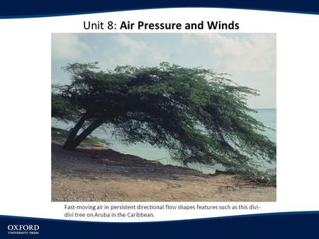 Unit 8: Air Pressure and Winds Fast-moving air in persistent directional flow shapes features such as this divi- divi tree on Aruba in the Caribbean. Author’s.