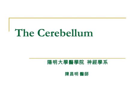 The Cerebellum 陽明大學醫學院 神經學系 陳昌明 醫師.