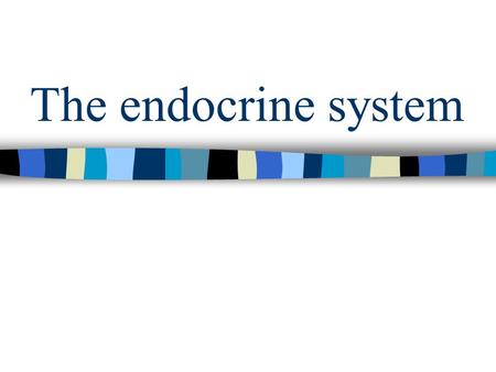 The endocrine system.