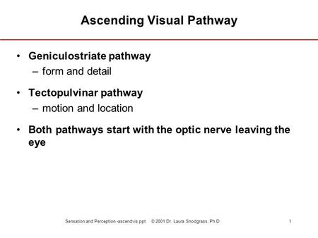 Ascending Visual Pathway