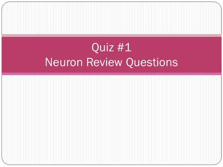 Quiz #1 Neuron Review Questions