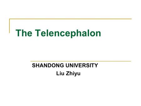 SHANDONG UNIVERSITY Liu Zhiyu