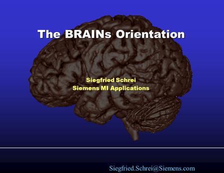 The BRAINs Orientation