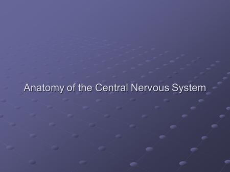 Anatomy of the Central Nervous System